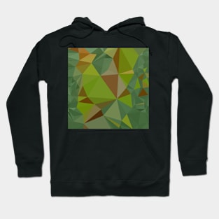 Dark Pastel Green Abstract Low Polygon Background Hoodie